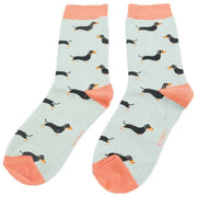 miss-sparrow-london-3-pack-little-sausage-dogs-sock-box---bluegreenyellow-34596465