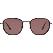 barbour-classic-panto-sunglasses---tortbronze-35832882