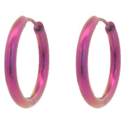 ti2-titanium-medium-round-hinged-hoop-earrings---pink-34528821
