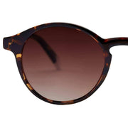 Barner Le Marais Glossy Sunglasses - Brown Tortoise