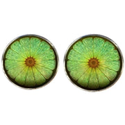 Bassin and Brown Lime Fruit Cufflinks - Green