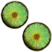 Bassin and Brown Lime Fruit Cufflinks - Green